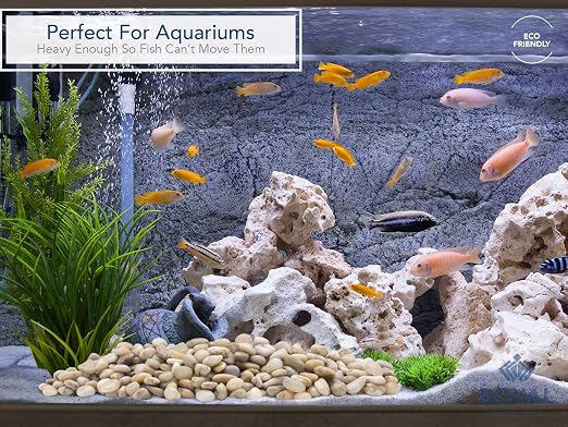 Royal Imports River Rocks, Aquarium Gravel – Light 1"- 1.5" - 5 lbs | Decorative Ornamental Vase Filler Pebbles for Potted Plants, Terrariums, Vases, Succulents, Fish Tank Gravel, DIY & Crafting