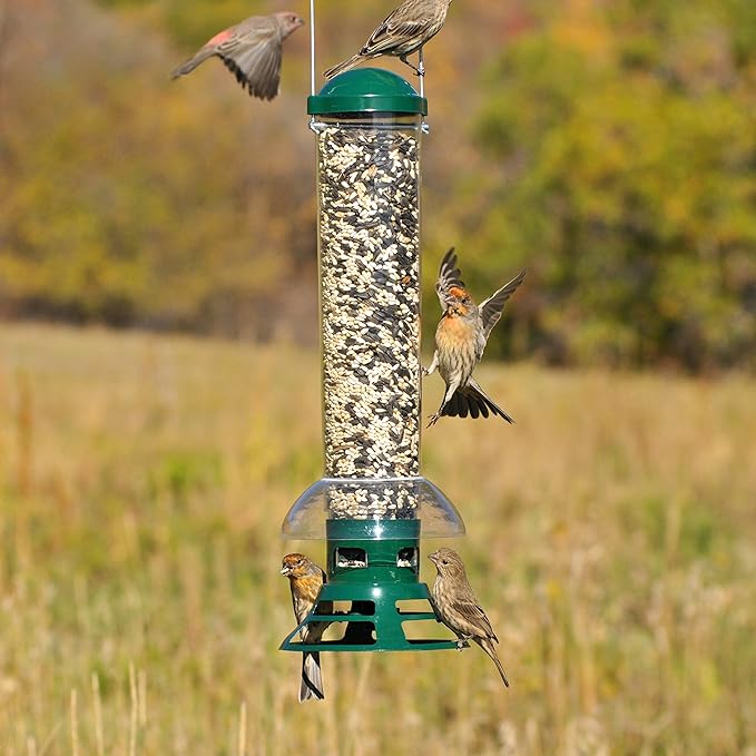 Perky-Pet 5141-2 Squirrel Slammer Wild Bird Feeder , Green