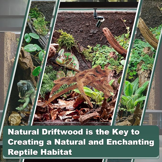 Natural Wood Driftwood for Aquarium Fish Tank Decor,Assorted Driftwood Trunk Branch for Reptile Tank Decor (LLM-Driftwood (4 to 8 Inch)-Pack of 4)