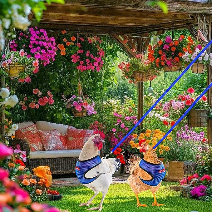 3 Pack Chicken Harness and Leash Set Adjustable Hen Vest with Matching Belt Breathable Mesh Training Harness Pets Leash for Hens Duck Goose Small Pet-Green&Purple&Blue,L