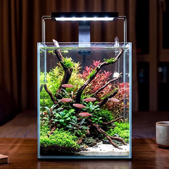 2.16 Gallon Glass Fish Tank, Low Maintenance Small Aquarium for Betta Fish, Snails, Shrimp & Aquatic Plants