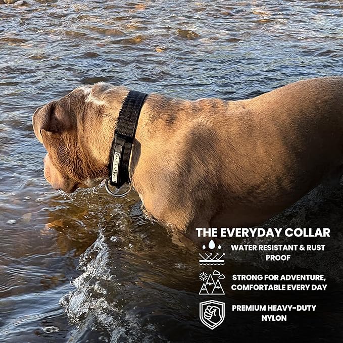 Tactical Dog Collar for Puppy, Heavy Duty Puppy Collar, Dog Collar for Small Dogs, Waterproof Dog Collar, Dog Training Collar, Quick-Release Metal, Adjustable Sizes – BULLYBREED (Light Pink, Small)