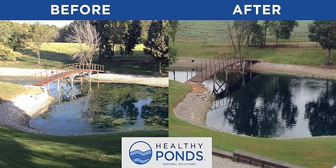 Healthy Ponds Aquasphere Pro Large & Commercial Pond Care - 500,000 Gal | Biodegradable Pond Treatment
