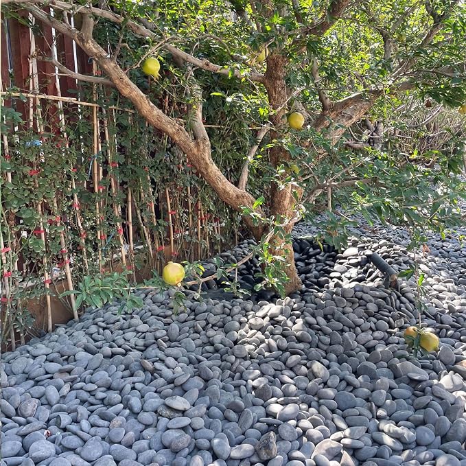 FANTIAN 20 lbs Black Rocks for Landscaping, 2-3 Inch Pebbles for Plant | Decorative Stones Black River Rocks for Outdoor Landscaping, Garden, Paving, Aquarium, Fountain, Walkways
