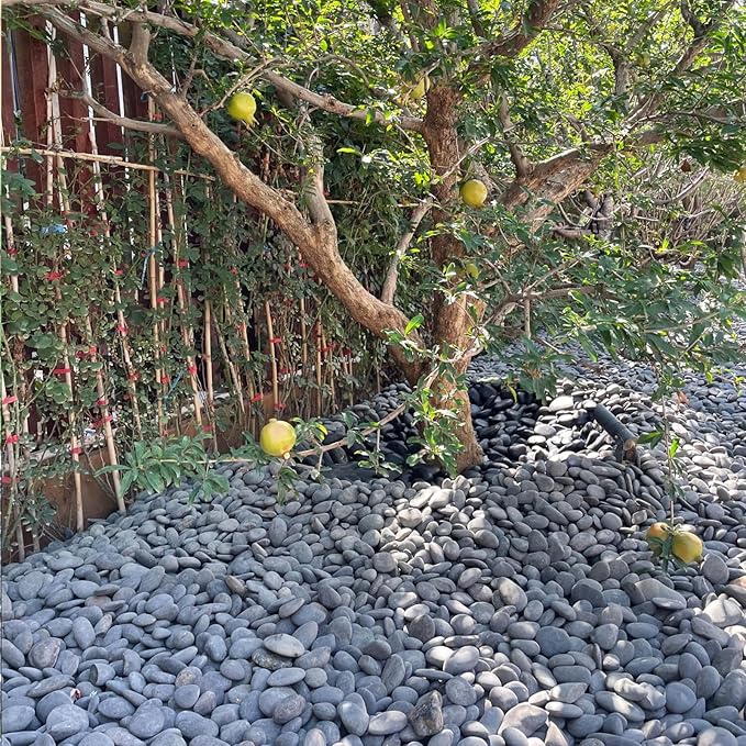 FANTIAN 40 lbs Black River Rocks for Landscaping, 2-3 Inch Pebbles | Large Black Stones Decorative Black Rocks for Garden,Plants, Paving, Fountain, Walkways, Outdoor, Safe for Fish
