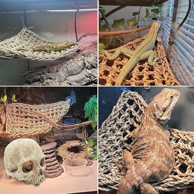 kathson Reptile Habitat Skull Decoration Bearded Dragon Tank Accessories Resin Human Skulls Hide Cave Hanging Vines Plant for Lizards Tortoise Snake Chameleon Spider Reptiles Amphibians(4 PCS)