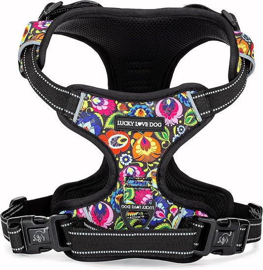 Lucky Love Dog No Pull Dog Harness, Adjustable and Easy to Walk, Cute Patterned Harness for Small Male & Female Dogs - Blackbird, XS