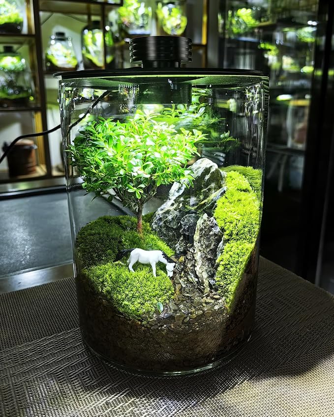 Desktop Glass Terrarium with Grow Light (7.5" H x 5.9" D) - for Succulents, Moss, Mini Gardens, Betta Fish Tanks, Mushroom Cultivation | Indoor Plant Growth | Office/Home Decor | Plant Lover Gifts