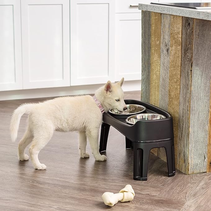 IRIS USA Elevated Dog Bowls Adjustable Stand, Raised Feeding Station with 2 Stainless Steel 64 oz Bowls, Spill Guard, Dual Height 12.25" or 4.63", Made in USA, Black