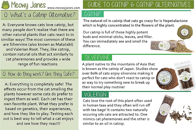 Meowy Janes Matatabi Chew Sticks - An All Natural Silvervine Cat Toy and Cat Treat - Catnip Alternative