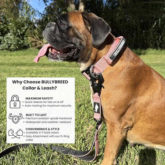 Heavy Duty Dog Collar, Tactical Dog Collar, Dog Collars for Medium Dogs, Waterproof Dog Collar, Dog Training Collar, Quick-Release Metal Buckle, Adjustable Sizes – BULLYBREED (Light Pink, Medium)