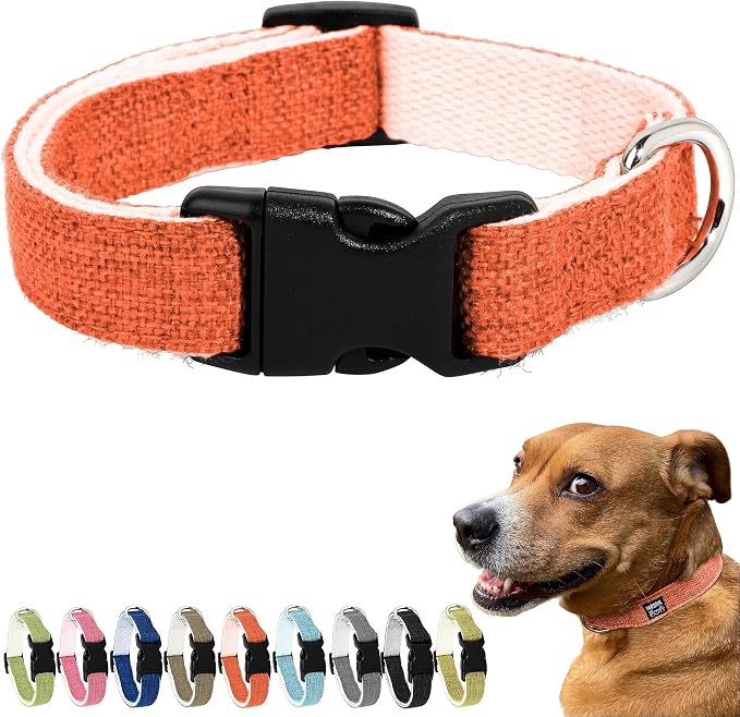 Hypoallergenic Dog Collar - Great for Sensitive Skin, Soft Collar for Dogs, Soft Organic & Earth Friendly (Small, Orange)