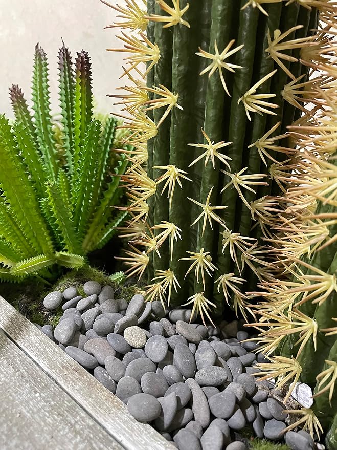 CJGQ Black River Rocks - 7lb Small Mexican Beach Pebbles for Succulents, Aquarium, Garden & Vase Decor