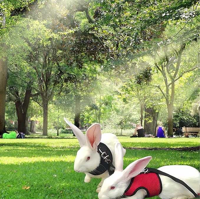 2 Pack Adjustable Bunny Rabbit Harness and Leash Set Breathable Mesh Vest Harness for Rabbits Kitten Ferret Puppy Small Pets Walking Supplies-Black&Red,M