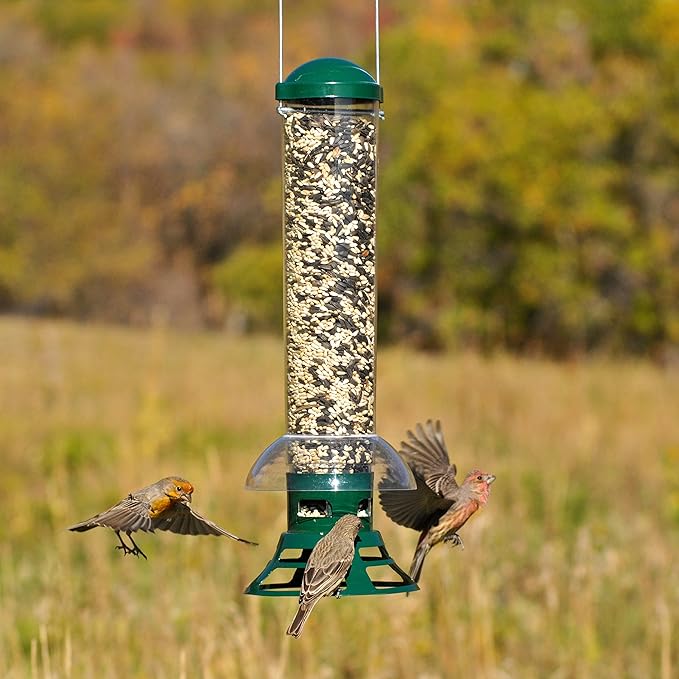 Perky-Pet 5141-2 Squirrel Slammer Wild Bird Feeder , Green