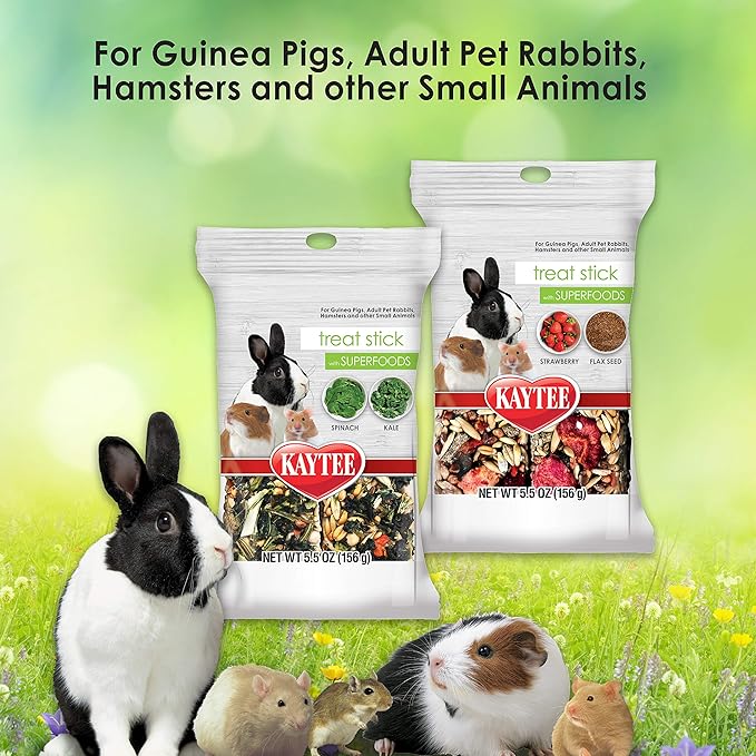 Kaytee Small Animal Treat Stick with Superfoods, Spinach & Kale, 5.5 oz (Pack of 2)