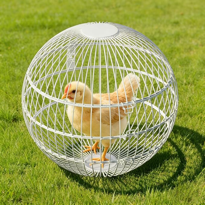 Rolling Small Animal Cage 11.8 inches, Metal Mesh Ball Cage for Hamsters Gerbils and Mice, Portable Indoor and Outdoor Exercise Cage for Supervised Play