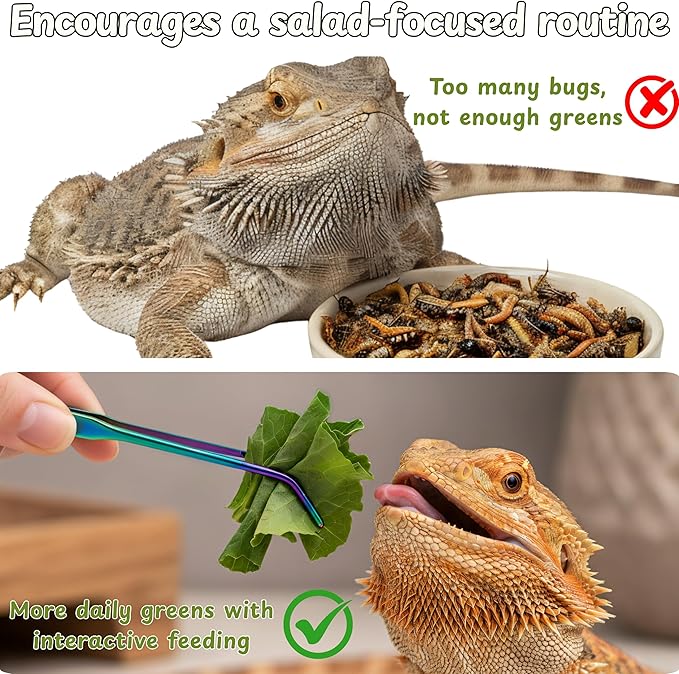 Bearded Dragon Enrichment Toys Feeding Tongs Accessories, Veggie Feeder Ball and Feeding Tongs with Rubber Tip, Greens Training Kit for Reptile Lizard Gecko, Reptile Tank Accessories (Green)