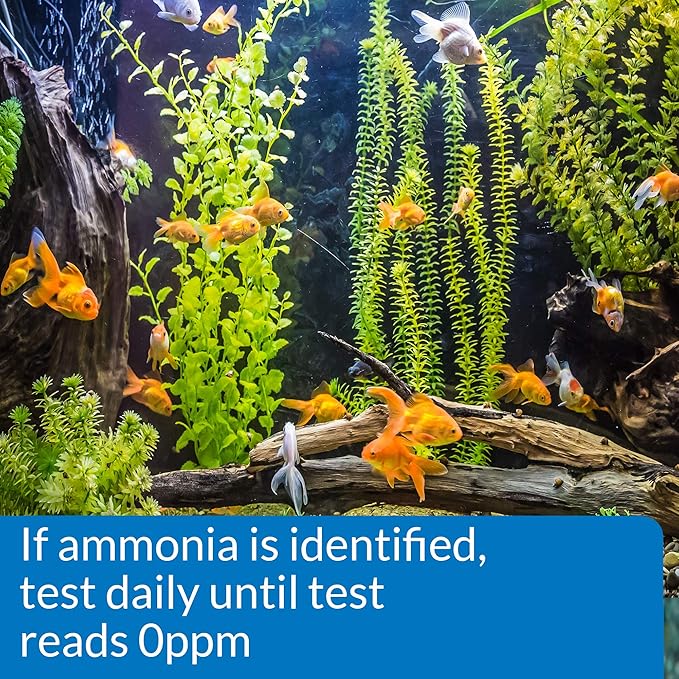 Mars Fishcare North America 25 Count Ammonia Aquarium Test Strip
