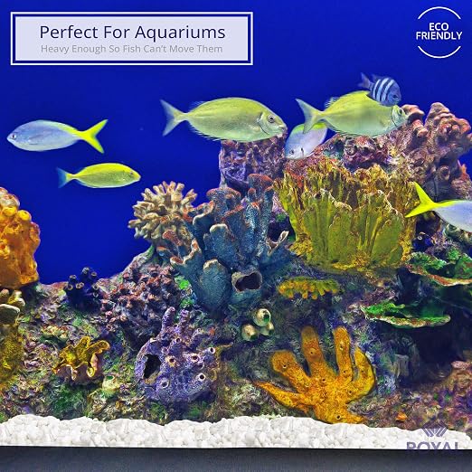Royal Imports River Rocks, Aquarium Gravel – White 0.25" Gravel - 5 lbs | Decorative Ornamental Vase Filler Pebbles for Potted Plants, Terrariums, Vases, Succulents, Fish Tank Gravel, DIY & Crafting