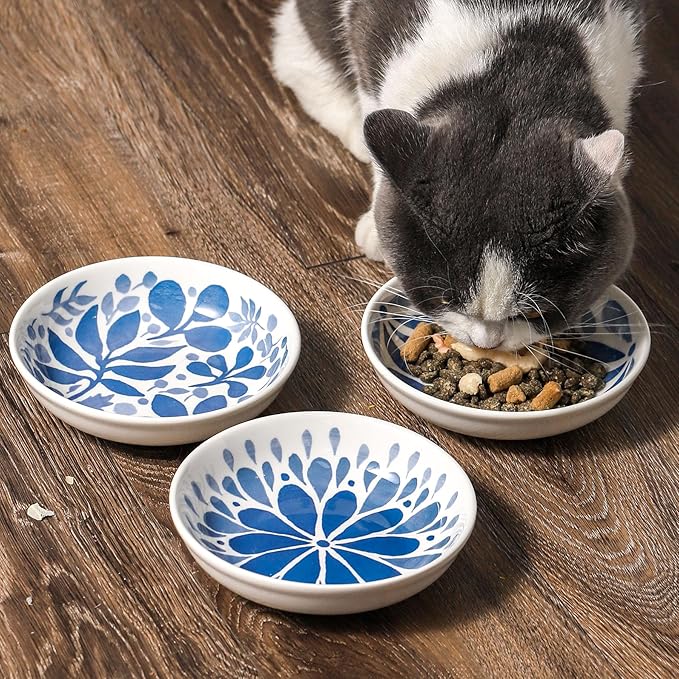 3 Ceramic Cat Bowls,5.5 inch Wide Shallow Cat Food Bowl for Relief Whisker Fatigue
