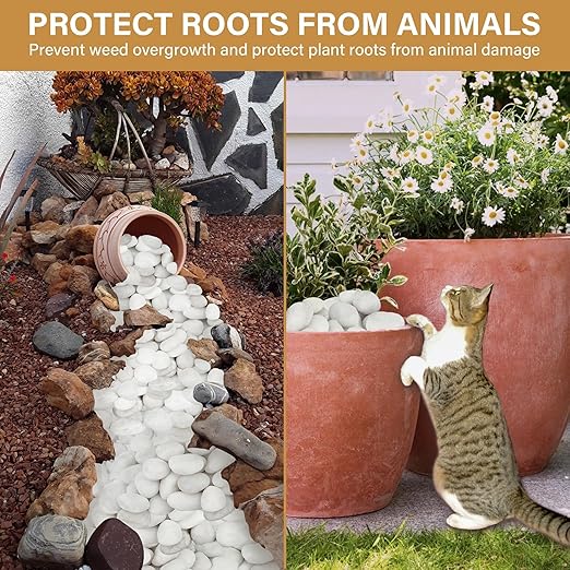 NUPICK 6lb White River Rocks for Plants Indoor, 2-3Inch White Pebbles for Vases Fillers, Decorative Gravel for Fish Tank, Natural Polished Stones for Succulent, Bonsai, Landscaping, Bird Baths