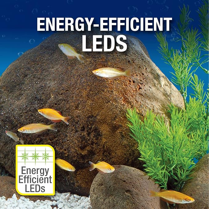 Tetra 20 Gallon Aquarium Kit LED Lighting, Filter & Heater