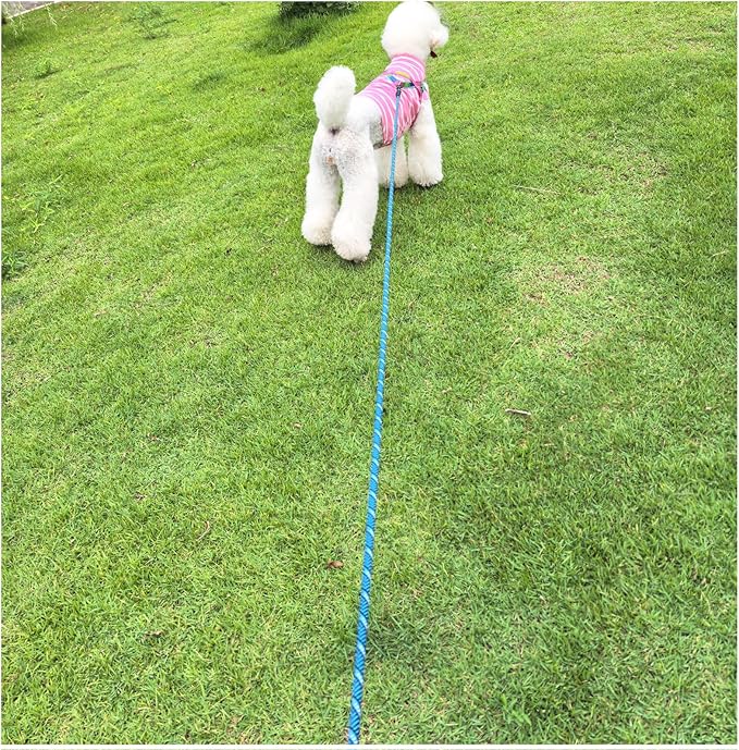 MayPaw 30ft Long Rope Dog Leash, 3/6/8/10/12/15/20FT Dog Lead Recall Training, Soft Padded Handle Thick Nylon Pet Leash for Large Medium Dogs (30ft * 1/2", Blue Black)