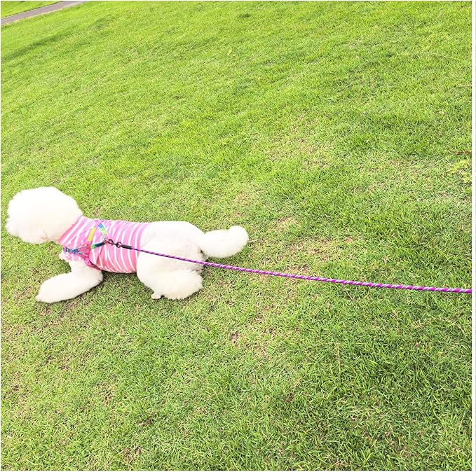 MayPaw Heavy Duty Rope Dog Leash, 6/8/10/15/20/30 FT Long Dog Leash Nylon Pet Lead, Soft Padded Handle Thick Lead Leashes for Large Medium Dogs Training (15ft * 1/2", Purple)