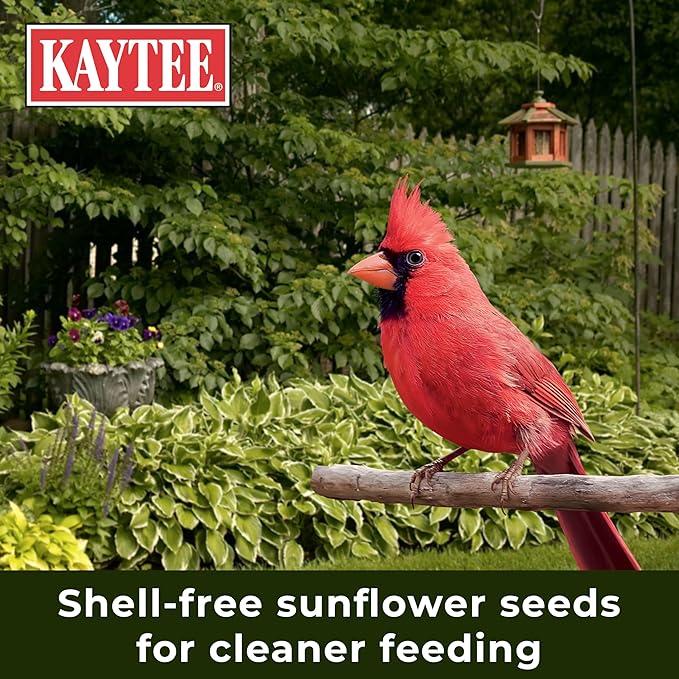 Kaytee Wild Bird Ultra No Mess Nut & Fruit Food Seed Blend For Blue Jays, Woodpeckers, Juncos, Cardinals, Grosbeaks, Sparrows, and Finches, 5.5 Pound