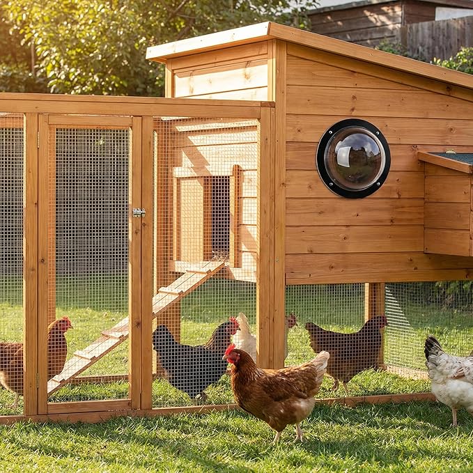 Goaste 2 Pack Dog Fence Window, 12.4 Inch Clear Pet Dome, Durable Plastic Pet Peek Windows Playground, Doggie Fence Safe Domes, Pets Supply for Dog Cat Horse, 12.4 x 4.9 Inch