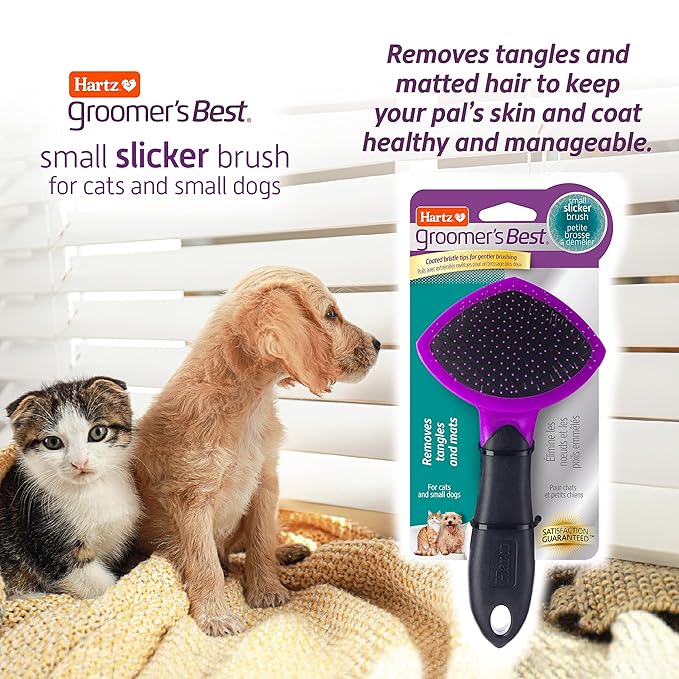 Hartz Groomer's Best Small Slicker Brush for Cats and Small Dogs, Black/Violet, 1 Count (Pack of 3)