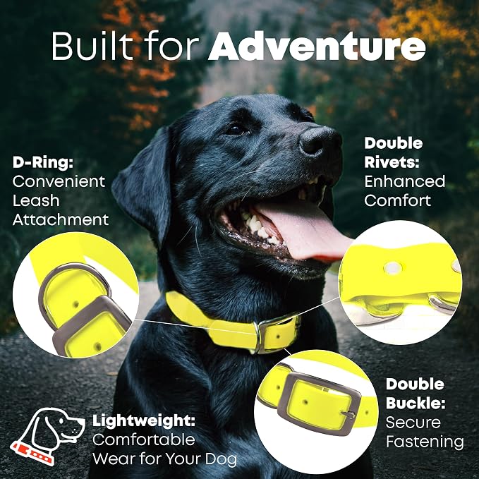 Regal Dog Products Medium Yellow Waterproof Dog Collar and Leash Set | Heavy Duty Double Buckle & D Ring - 5'ft Leash | Adjustable Biothane Dog Collar | Chew Resistant Waterproof Collar for Dogs