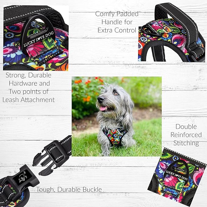 Lucky Love Dog No Pull Dog Harness, Adjustable and Easy to Walk, Cute Patterned Harness for SmallMale & Female Dogs - Blackbird, Small