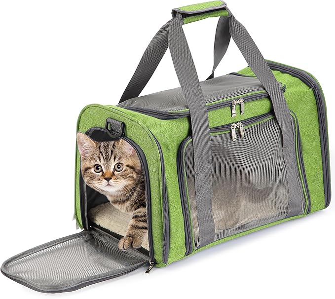 Mr. Pen- Pet Carrier, 17.5" x 11.2" x 11.5", Medium Size, Green, Portable Travel Carrier for Small Pets, Cats & Small Dogs, Breathable Mesh, Safety Inner Leash, Side Pocket & Padded Shoulder Strap