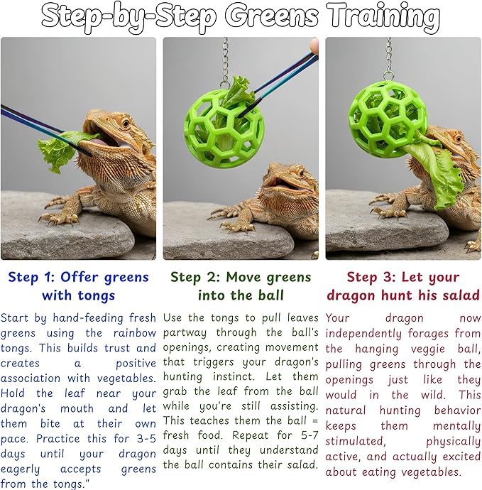 Bearded Dragon Enrichment Toys Feeding Tongs Accessories, Veggie Feeder Ball and Feeding Tongs with Rubber Tip, Greens Training Kit for Reptile Lizard Gecko, Reptile Tank Accessories (Green)