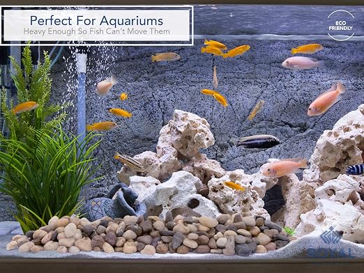 Royal Imports River Rocks, Aquarium Gravel – Natural 1"- 1.5" - 5 lbs | Decorative Ornamental Vase Filler Pebbles for Potted Plants, Terrariums, Vases, Succulents, Fish Tank Gravel, DIY & Crafting
