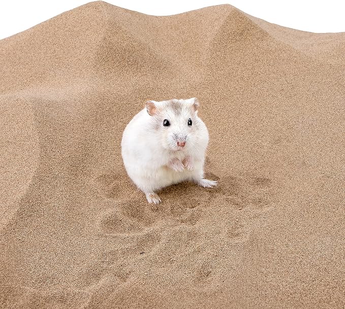 Niteangel Hamster Desert Bath Sand | No-Dust Bath or Potty Litter for Hamster Chinchillas Gerbil Mice Degu or Other Small Pets (Pack of 2)