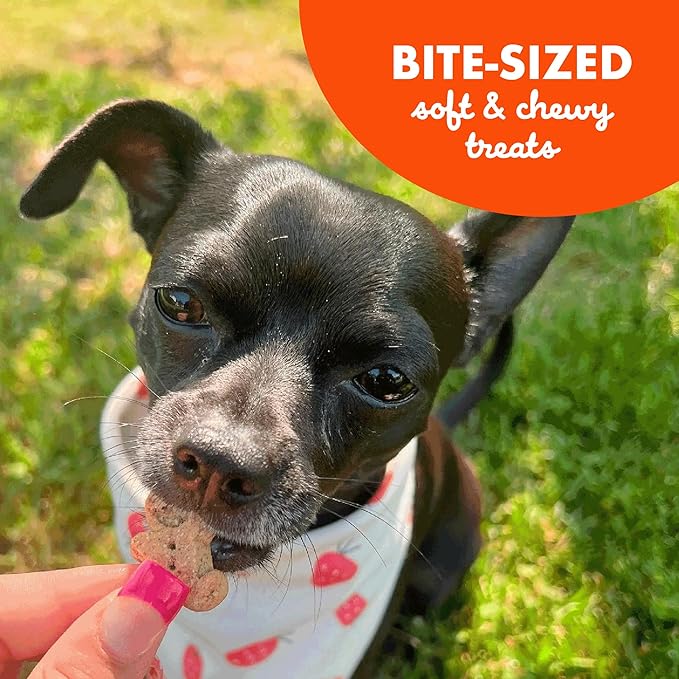 Buddy Biscuits Softies Soft & Chewy Dog Treats, Peanut Butter, 20 oz. Pouch