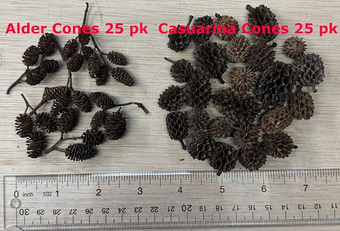Awesome Aquatic 50 Casuarina Cones, Blackwater, Betta Shrimp Habitat | Larger than Alder Botanicals Natural tannins Blackwater habitat Leaf litter Longer lasting biofilm Natural décor Easy to use