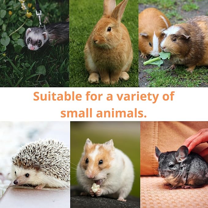 Ferret Treat Ball Interactive Toy Balls for Small Animal, Enrichment Toys Ferrets Dry Food Ball for Ferrets Guinea Pig Rat Chinchilla Hedgehog Bunny, Pet Ferret Accessories (S, Spiral)