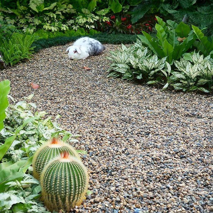 Aquarium Gravel 10 lbs, 3-6mm Fish Tank Gravel, Succulent Cactus Pea Gravel for Indoor Plants, River Rocks for Gardening, Flower Pots, Vase Fillers, Garden Landscaping