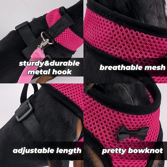 3 Pack Chicken Harness and Leash Set Adjustable Hen Vest with Matching Belt Breathable Mesh Training Harness Pets Leash for Hens Duck Goose Small Pet-Black&Red&Pink,M