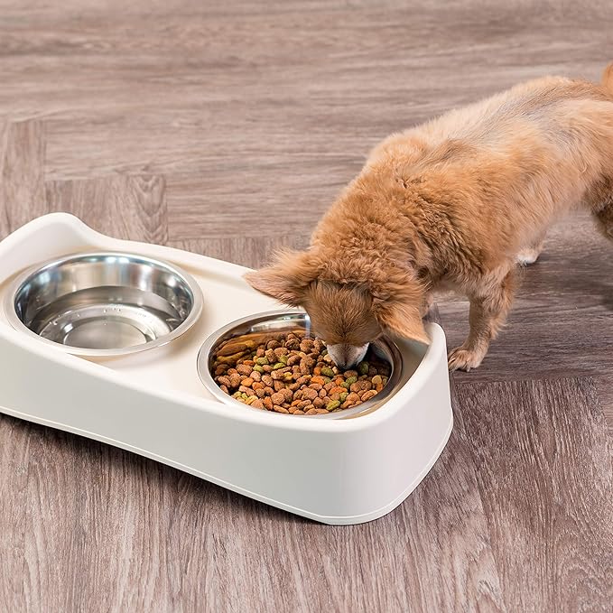 IRIS USA Elevated Dog Bowls Adjustable Stand, Raised Feeding Station with 2 Stainless Steel 64 oz Bowls, Spill Guard, Dual Height 12.25" or 4.63", Made in USA, Almond