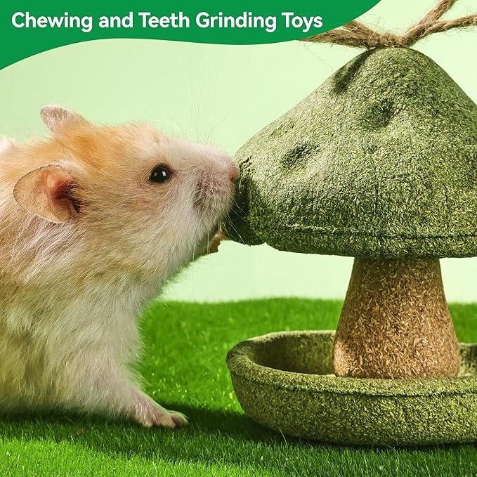 2 Pack Guinea Pig Chew Toys, Prevent Teeth Overgrowth, Rabbit Chew Toys, Natural Treats for Rabbit/Hamster Toys, Natural Timothy Grass & Vegetables, Small Animal Toys for Habitat Decoration
