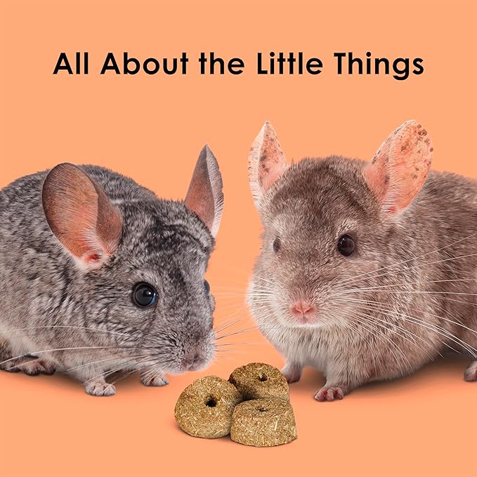 Kaytee Super C Bites Treat for Pet Guinea Pigs, Adult Rabbits, Chinchillas, and Other Small Animals, Cranberry and Orange, 4 oz (6 Pack)