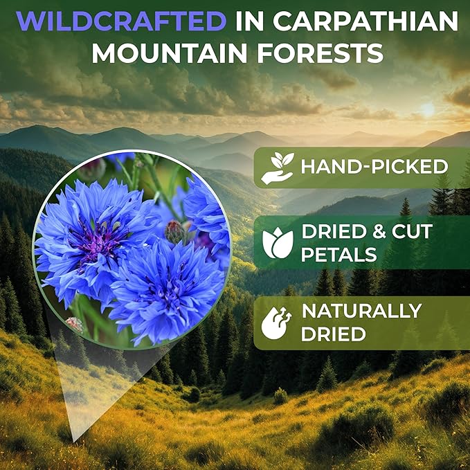 2 oz. Dried Blue Cornflower Flower Blossom (Centaurea Cyanus) - 56g Blue Corn Flower Herb Tea Petals Bulk Herbal Tea