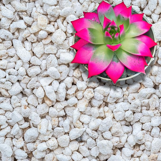 GARDENWISE Perlite for Plants, Extra Coarse Grade 4 Horticultural Perlite, Organic Perlite for Gardening Indoor & Outdoor, Made in USA (1 Quart)
