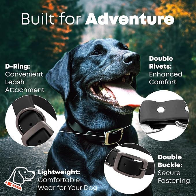 Regal Dog Products Small Black Dog Collar with Heavy Duty Double Buckle & D Ring | Vinyl Coated, Custom Fit, Adjustable Biothane Dog Collar | Chew Resistant Waterproof Collar for Dogs