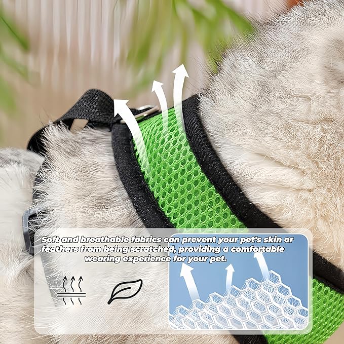 3 Pack Chicken Harness and Leash Set Adjustable Hen Vest with Matching Belt Breathable Mesh Training Harness Pets Leash for Hens Duck Goose Small Pet-Green&Purple&Blue,L